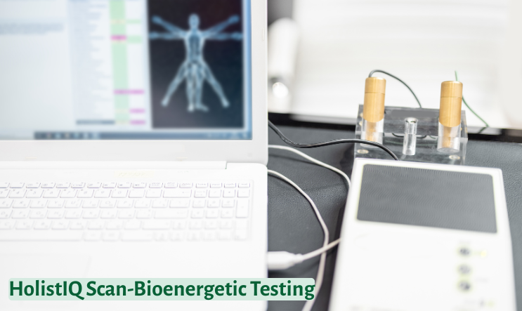 HolistIQ Scan Bioenergetic Testing in Long Island at Plainview